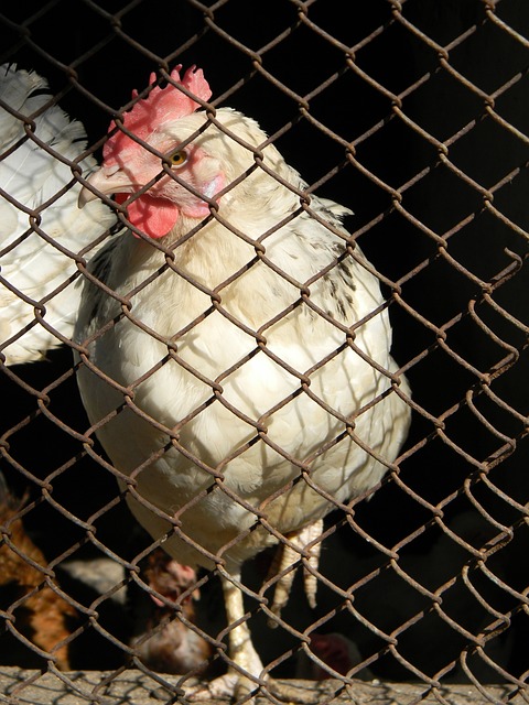 够从这次教 够从这次教