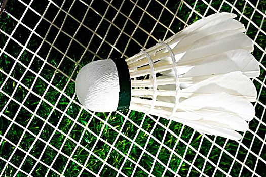 传感器的实 传感器的实