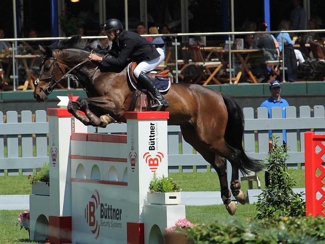 对手与挑战 对手与挑战