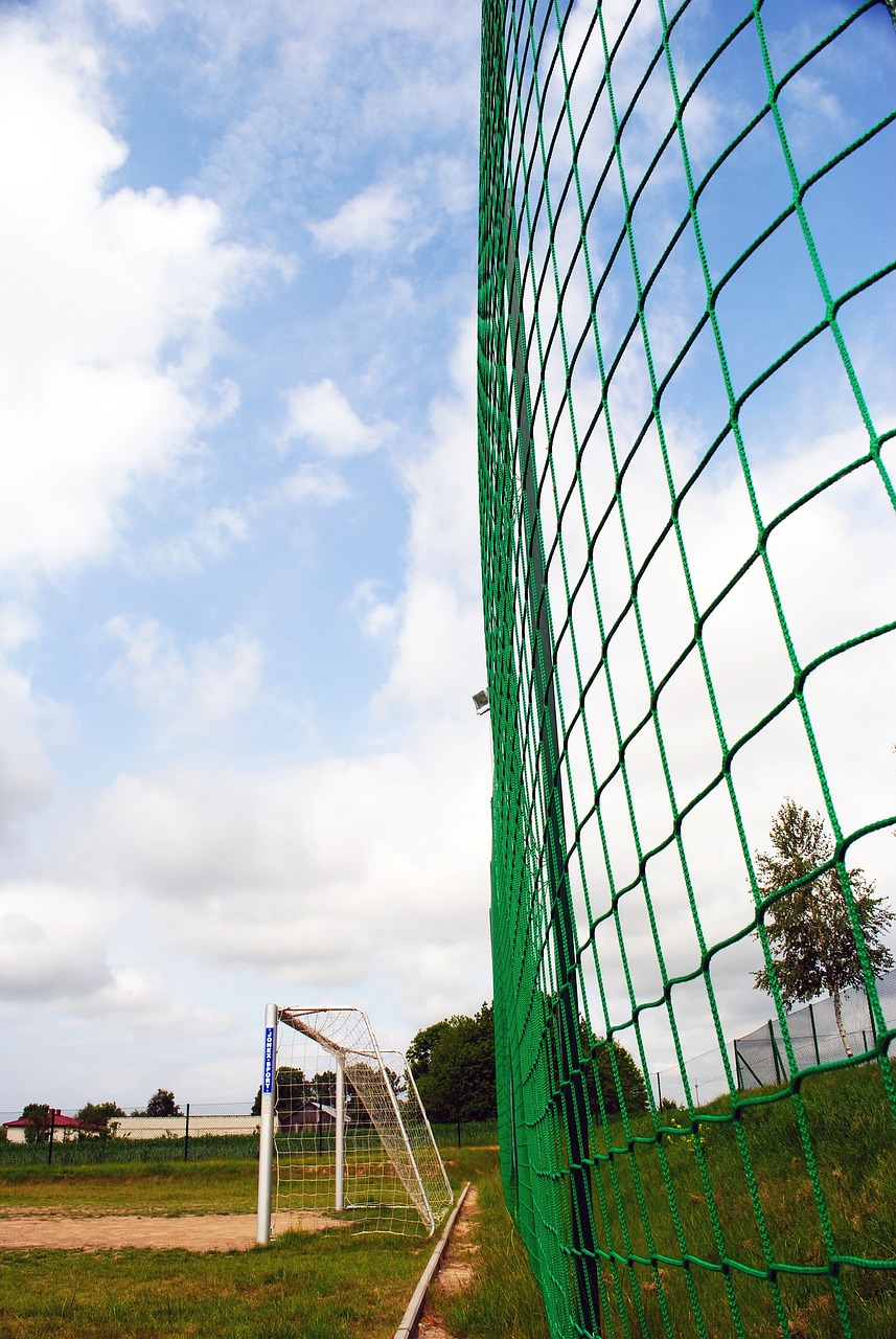 了不可忽视 了不可忽视